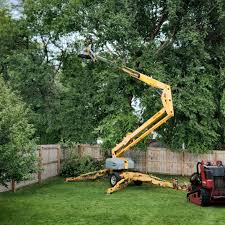 Tree and Shrub Care in Lake Ripley, WI