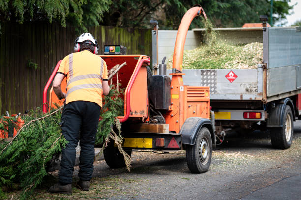 Best Tree Risk Assessment  in Lake Ripley, WI