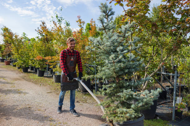 Best Emergency Tree Removal  in Lake Ripley, WI